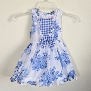 Nannette Kids Blue & White Floral Dress w/ Gingham Accents (3T)